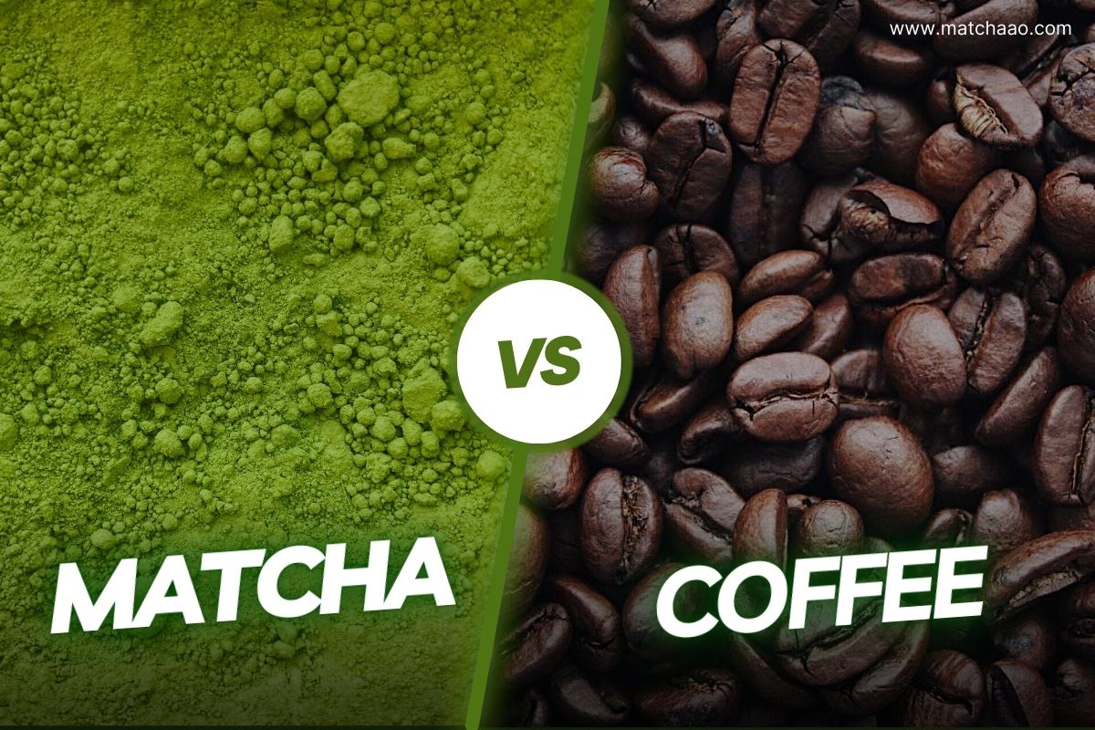 Matcha Vs Coffee – 15 Reasons to Switch to Matcha